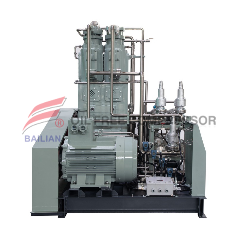Oil Free Carbon Dioxide Gas Recovery System