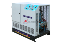 8m3 Generator Medical Oxygen Compressor