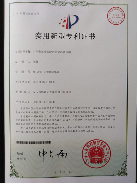 一种全无油润滑密封型活塞结构(1)