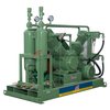 HV- 10/8-20 Totally Oil Free V Type H2 Compressor