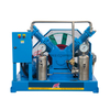 Oil Free Lubrication V-type O2 Compressor OW-30/3-21 