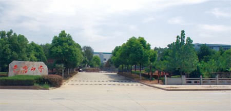 What Is The Function of Natural Gas Compressor?