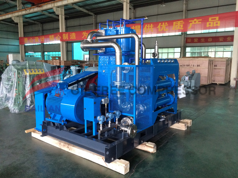 Vertical Oil-free Lubrication Oxygen Compressor OWZ-80/2-12