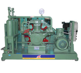 What are the advantages and disadvantages of Industrial Hydrogen Compressor?