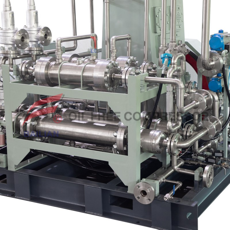 Oil Free Carbon Dioxide Gas Recovery Co2 Compressor