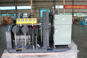  WW-0.5/60 W type Skid mounted air compressor