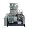 ZCWY-500/0.01-75 Reciprocating Piston Vertical Sled Mounted Type CO2 Compressor