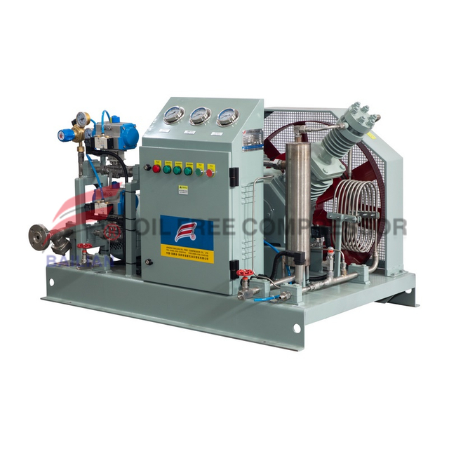 3nm3 20bar Oil Free Co2 Compressor