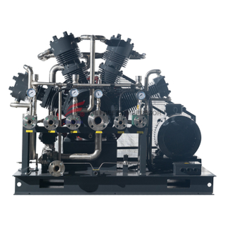 54nm3 Oil Free CO2 Compressor Cw-54/0.01-22